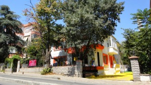 photo (3)